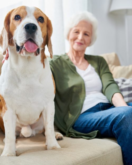 senior woman and her dog at home