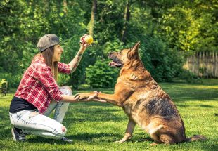 woman and dog friendship owner and pet PPAEVGK