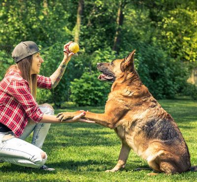 woman and dog friendship owner and pet PPAEVGK